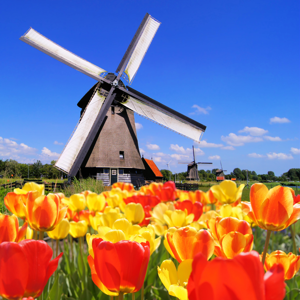 Netherlands Health Insurance Requirement